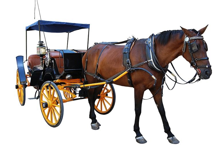 Old-horse-and-carriage